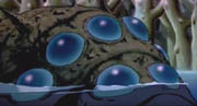 thumbnail image (nausicaa detail)
